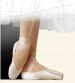 Жесткая балетная обувь (пуанты) модель А (anima)